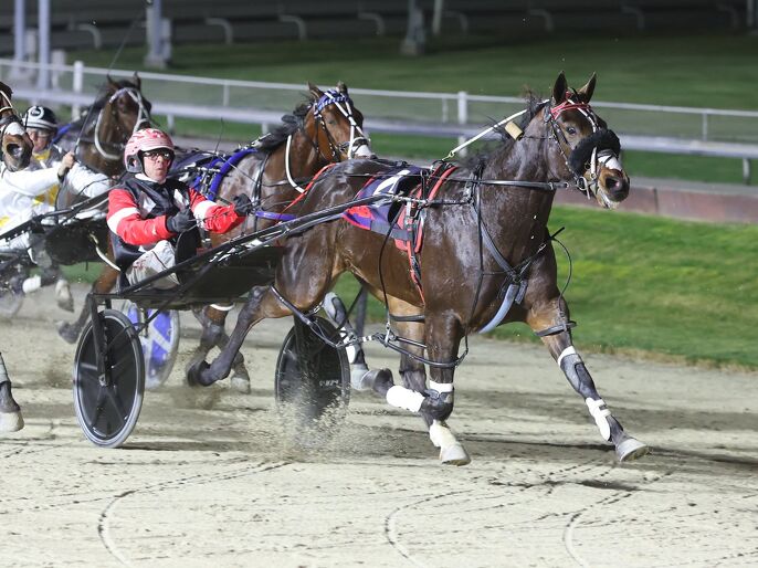 Breeding Snippets | Commercial Families, Trotting Traditions and Emerging Talent