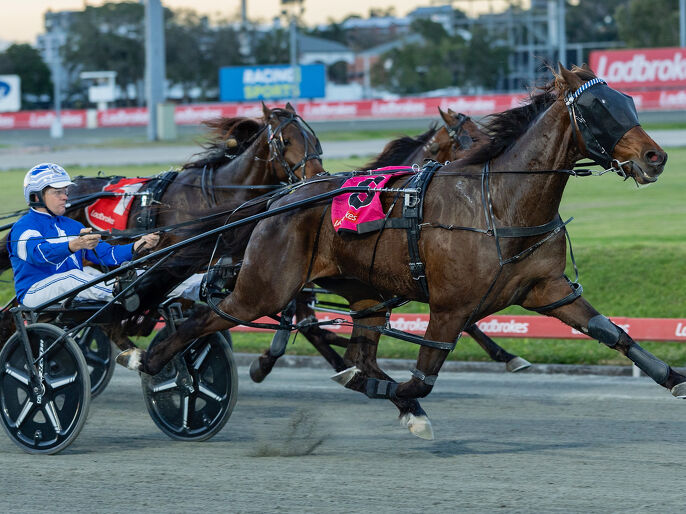 Gary Moir makes a Cool comeback