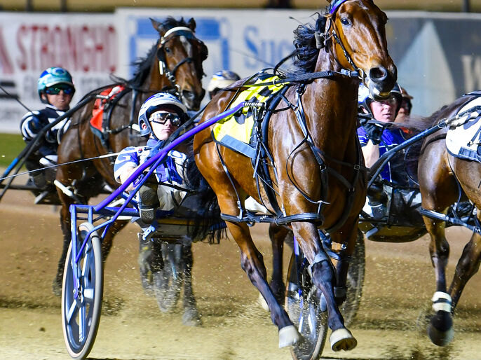 Broodmare gem Fire Dancer keeps producing for Kevin