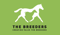 NZ Standardbred Breeders Assn
