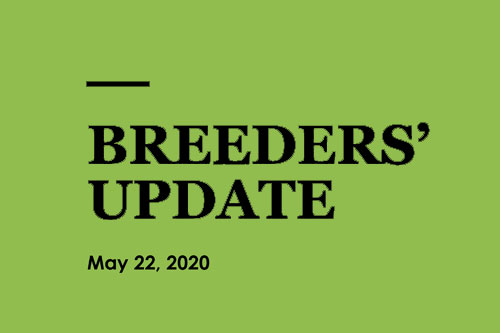 Breeders Update 85