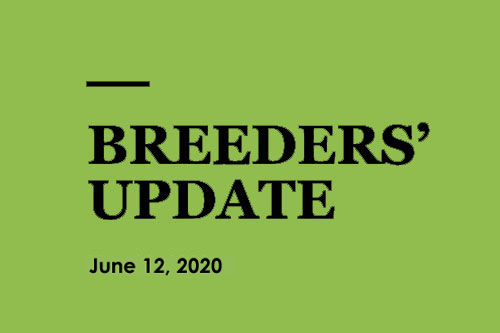 Breeders Update 87