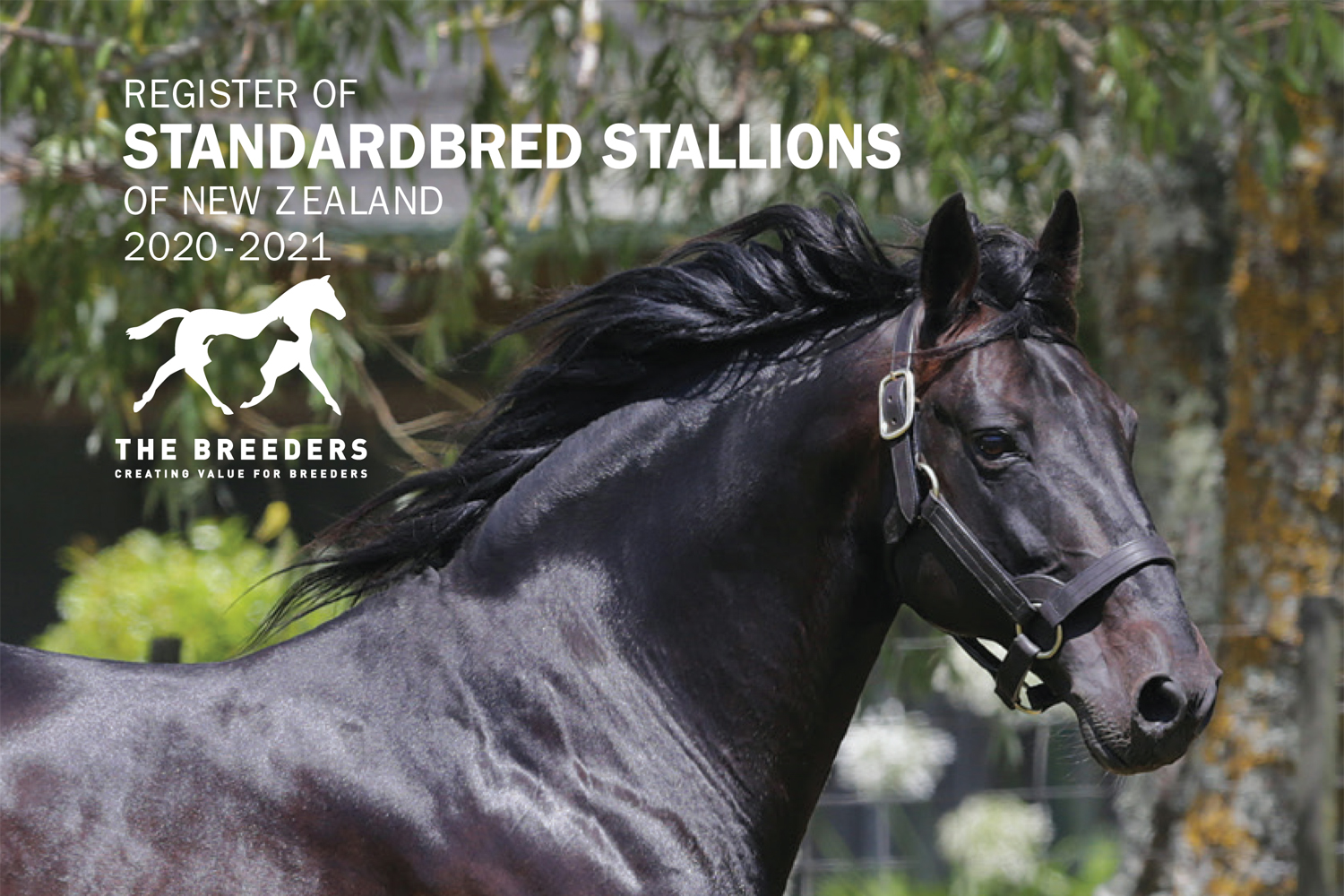 NZ Standardbred Stallion Register 2020-2021