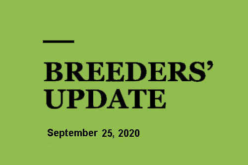 Breeders update 91