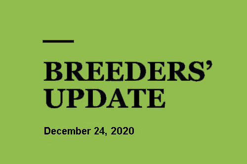 Breeders Update