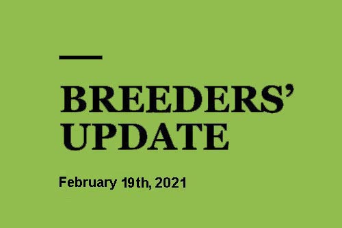 Breeders update