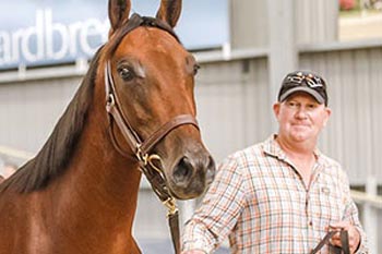 Tuapeka-Dan-colt-yearling-sales-2021